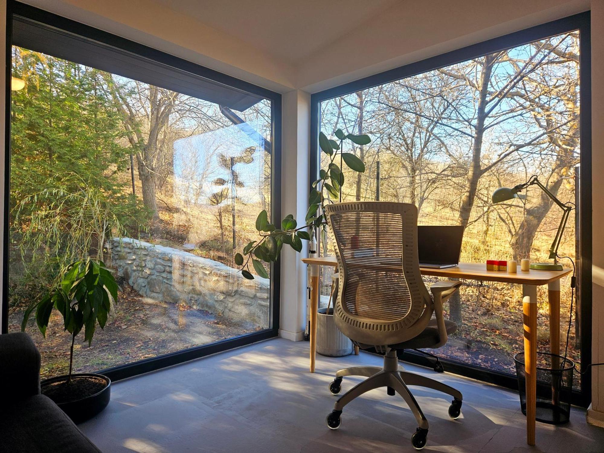 Black Walnut House With Indoor Outdoor Fireplace Izvoarele  外观 照片
