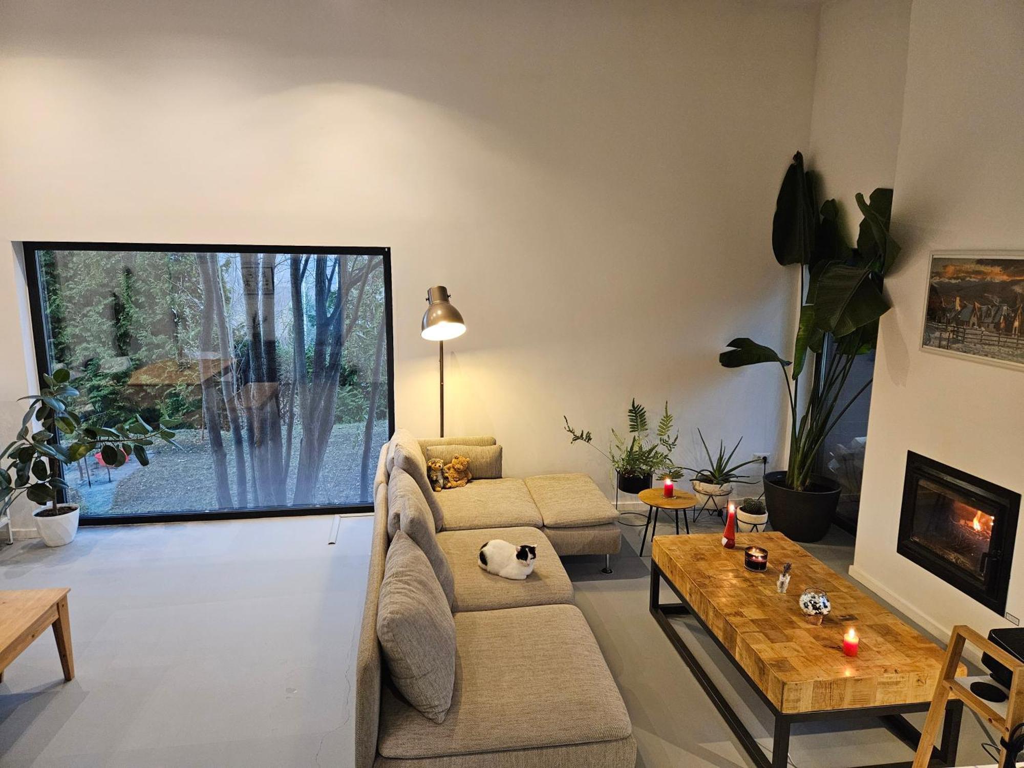 Black Walnut House With Indoor Outdoor Fireplace Izvoarele  外观 照片