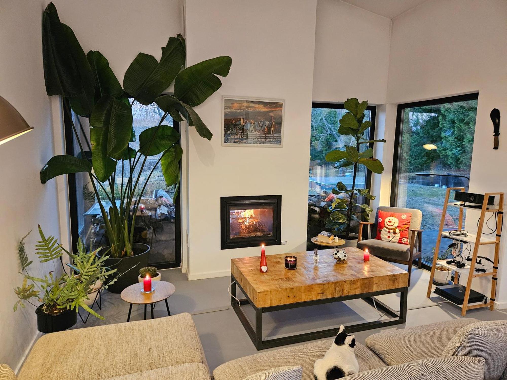 Black Walnut House With Indoor Outdoor Fireplace Izvoarele  外观 照片