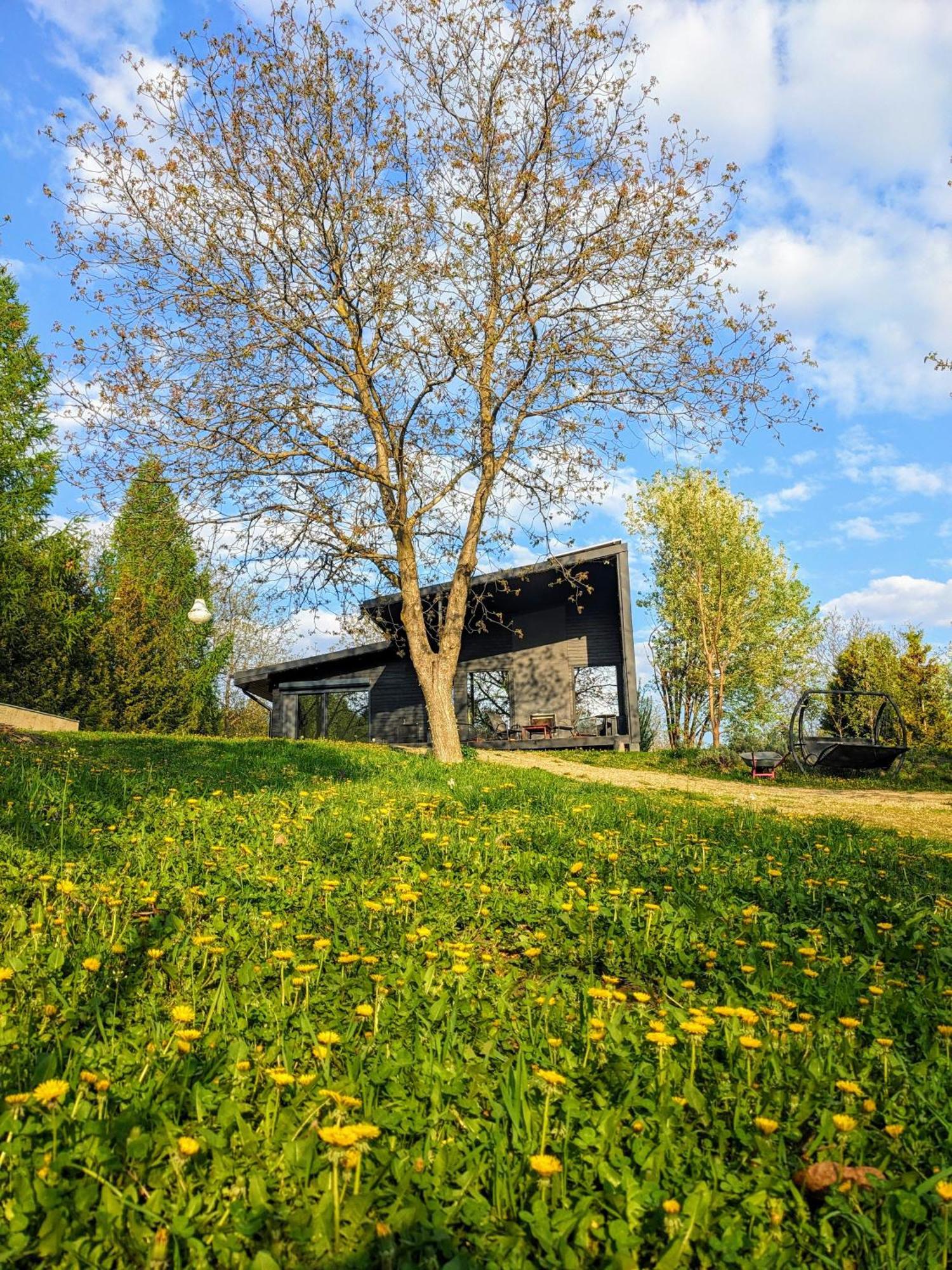 Black Walnut House With Indoor Outdoor Fireplace Izvoarele  外观 照片