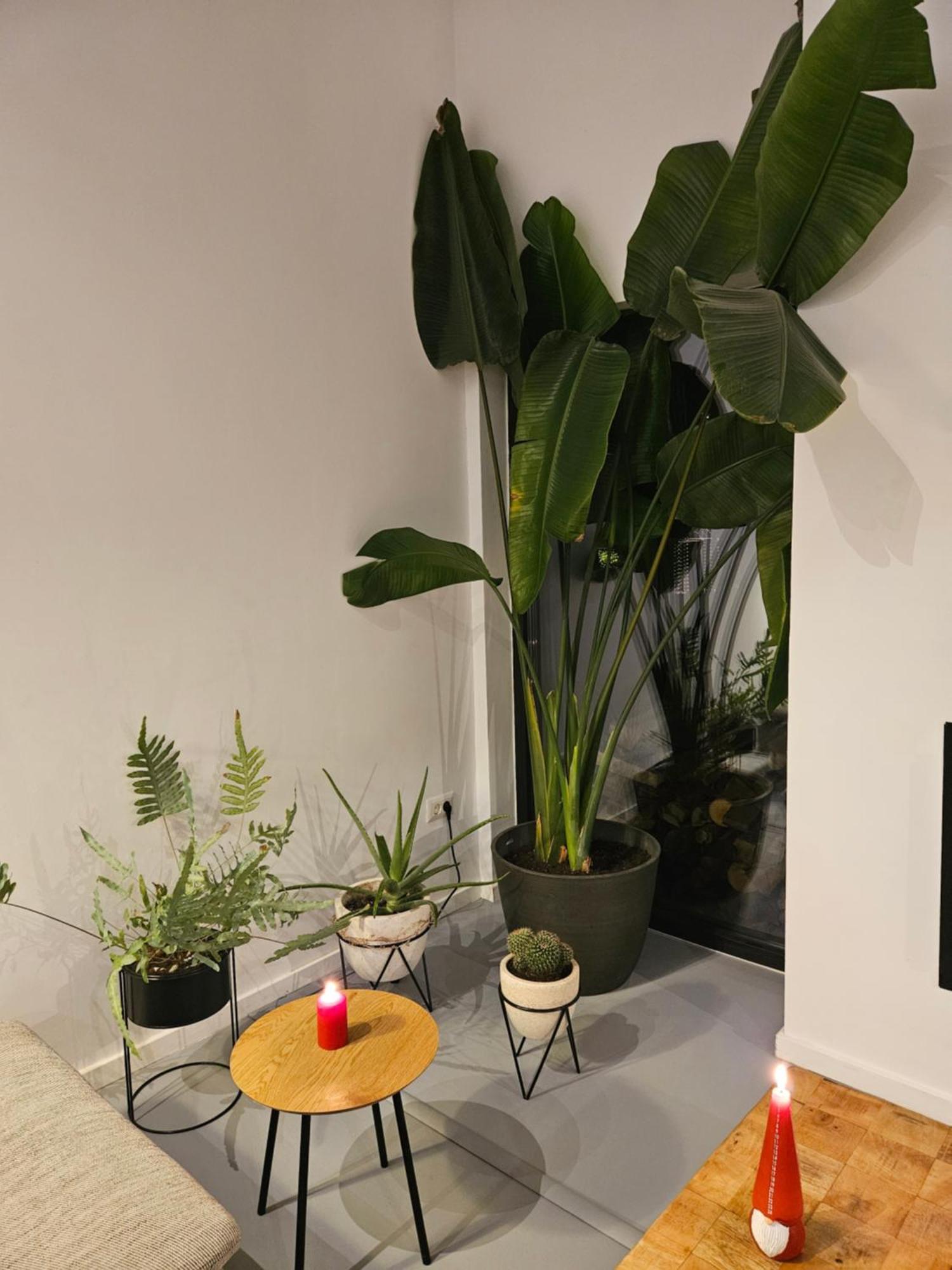 Black Walnut House With Indoor Outdoor Fireplace Izvoarele  外观 照片