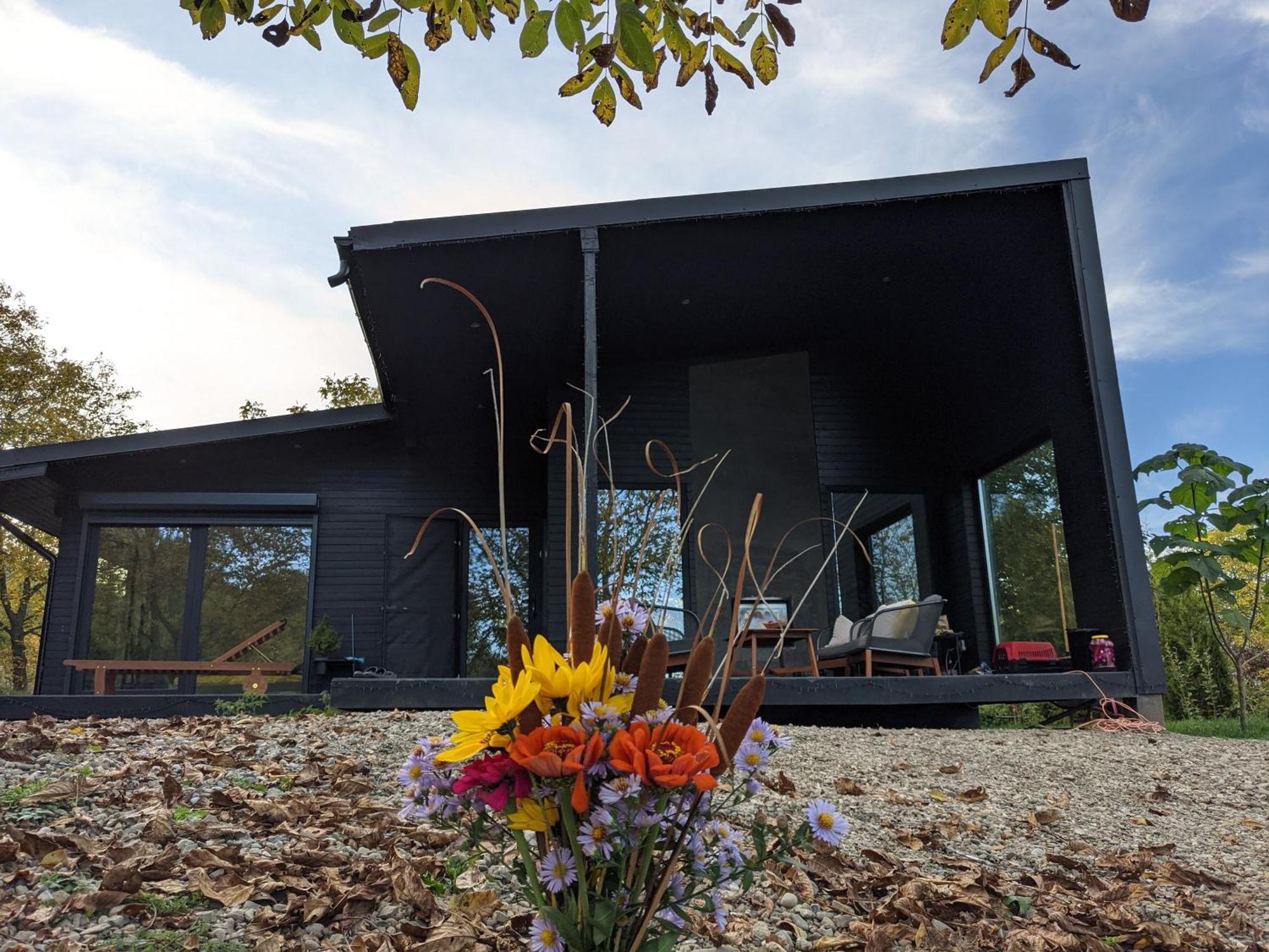 Black Walnut House With Indoor Outdoor Fireplace Izvoarele  外观 照片