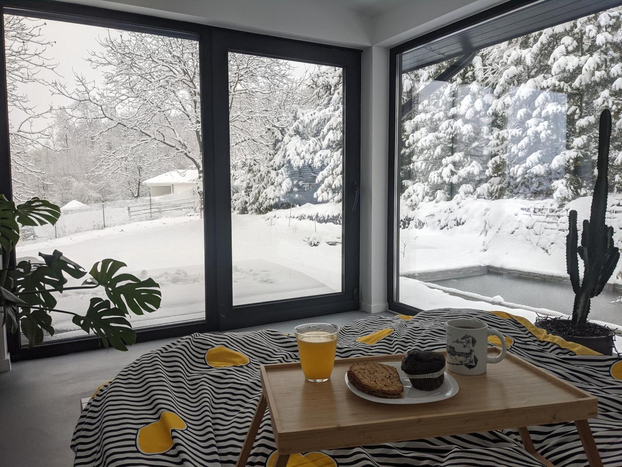 Black Walnut House With Indoor Outdoor Fireplace Izvoarele  外观 照片
