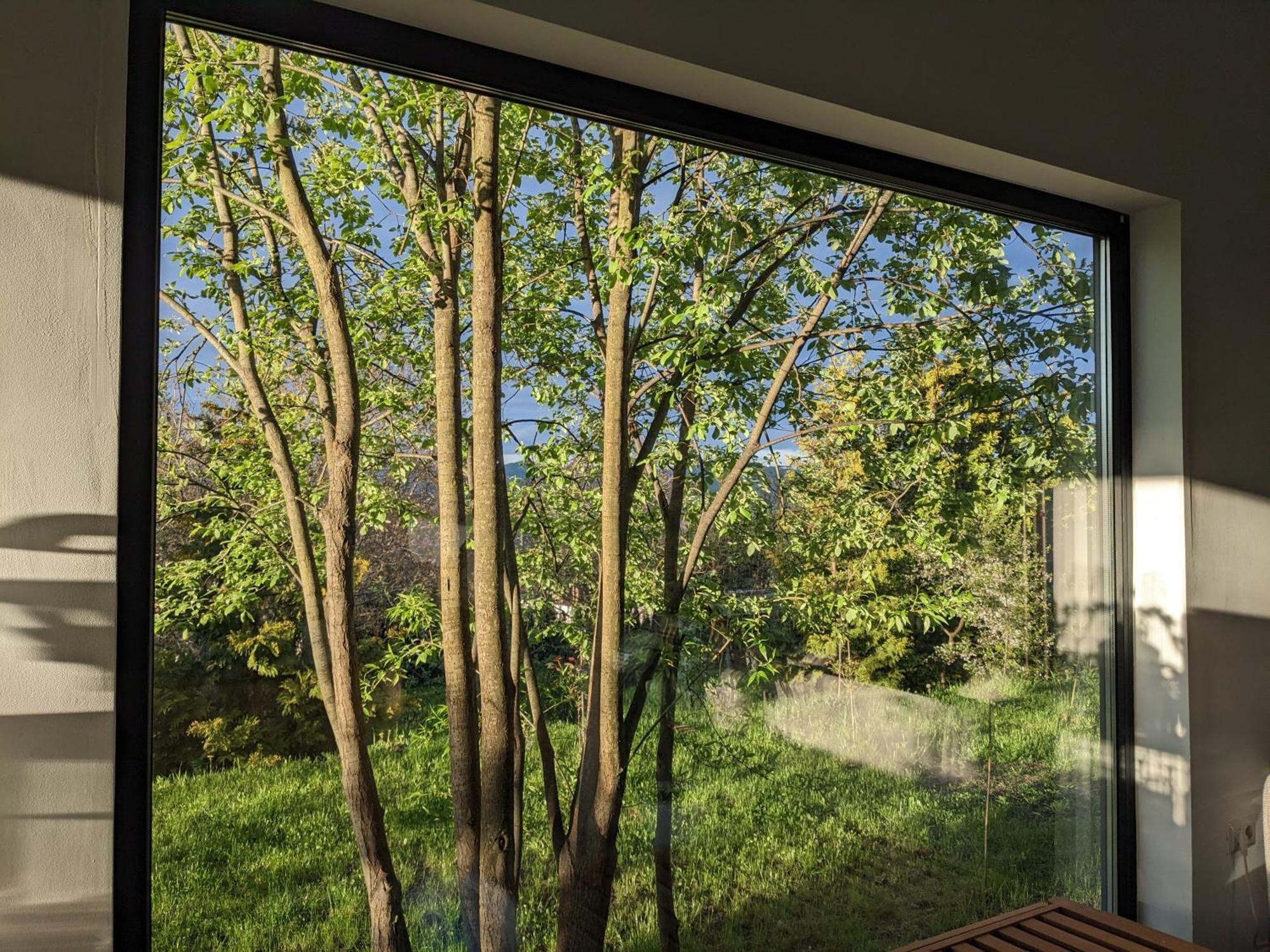 Black Walnut House With Indoor Outdoor Fireplace Izvoarele  外观 照片