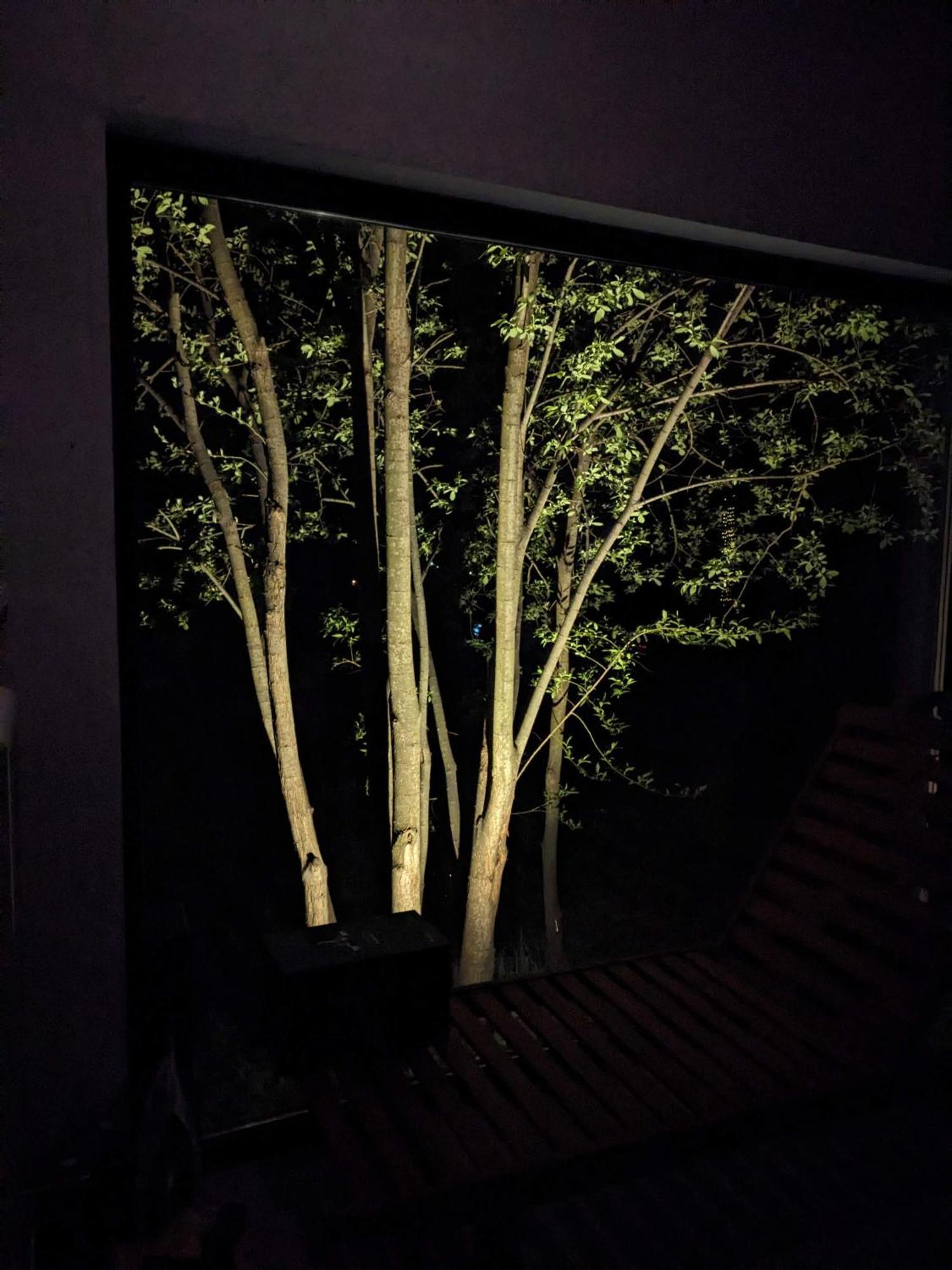 Black Walnut House With Indoor Outdoor Fireplace Izvoarele  外观 照片