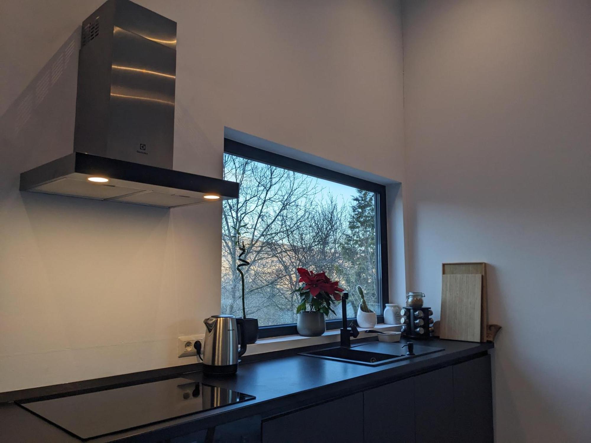 Black Walnut House With Indoor Outdoor Fireplace Izvoarele  外观 照片