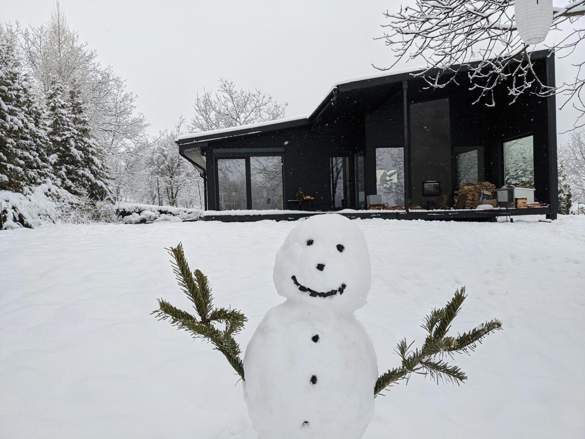 Black Walnut House With Indoor Outdoor Fireplace Izvoarele  外观 照片