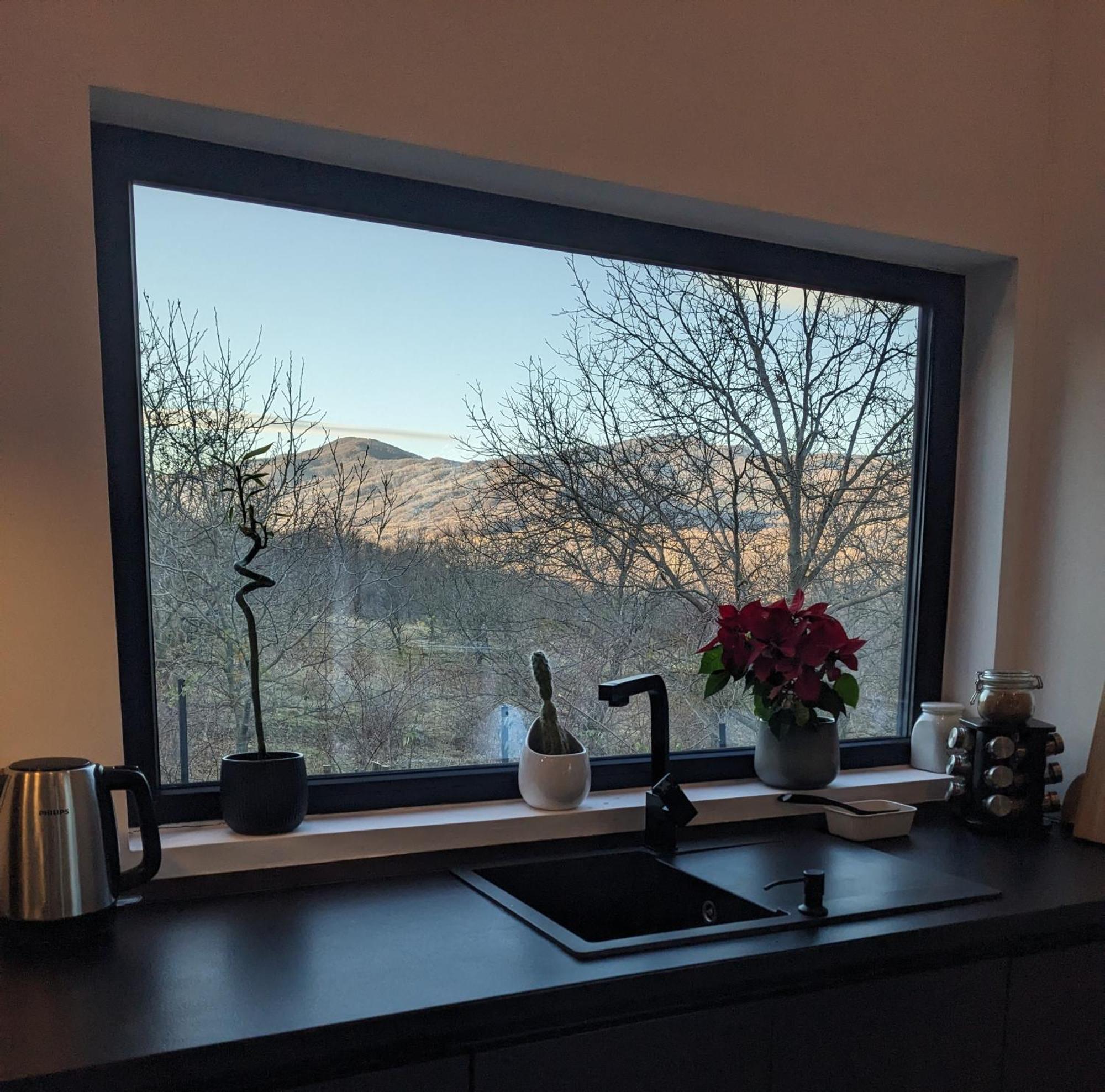 Black Walnut House With Indoor Outdoor Fireplace Izvoarele  外观 照片