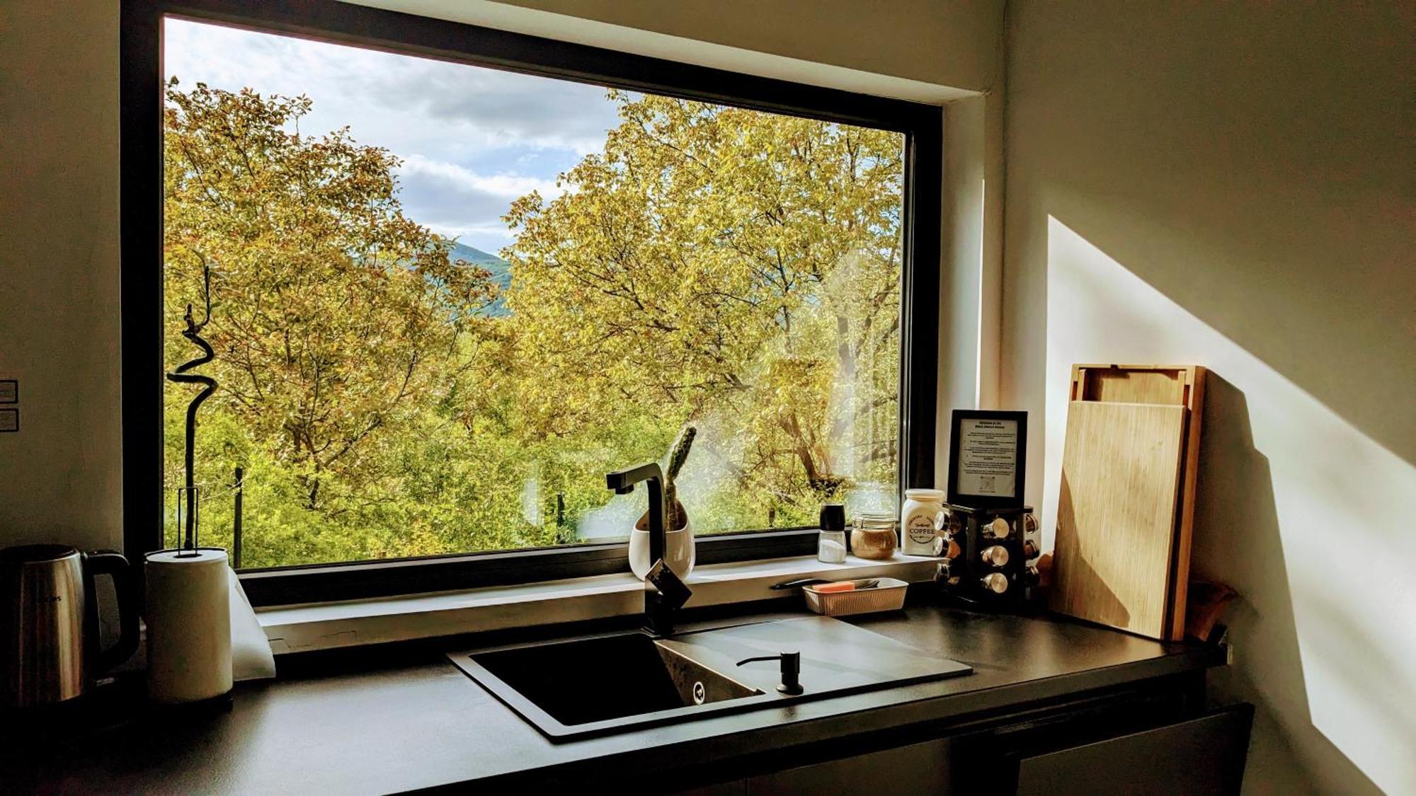 Black Walnut House With Indoor Outdoor Fireplace Izvoarele  外观 照片